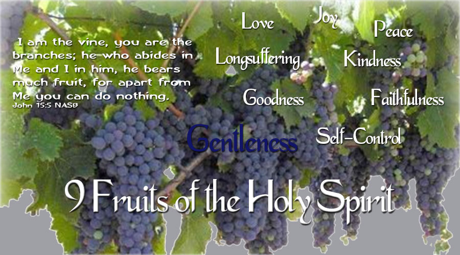 9 Fruits of the Holy Spirit - Gentleness