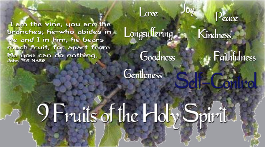 9 Fruits of the Holy Spirit - Self-Control