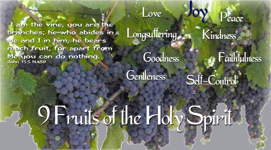 9 Fruits of the Holy Spirit - Joy